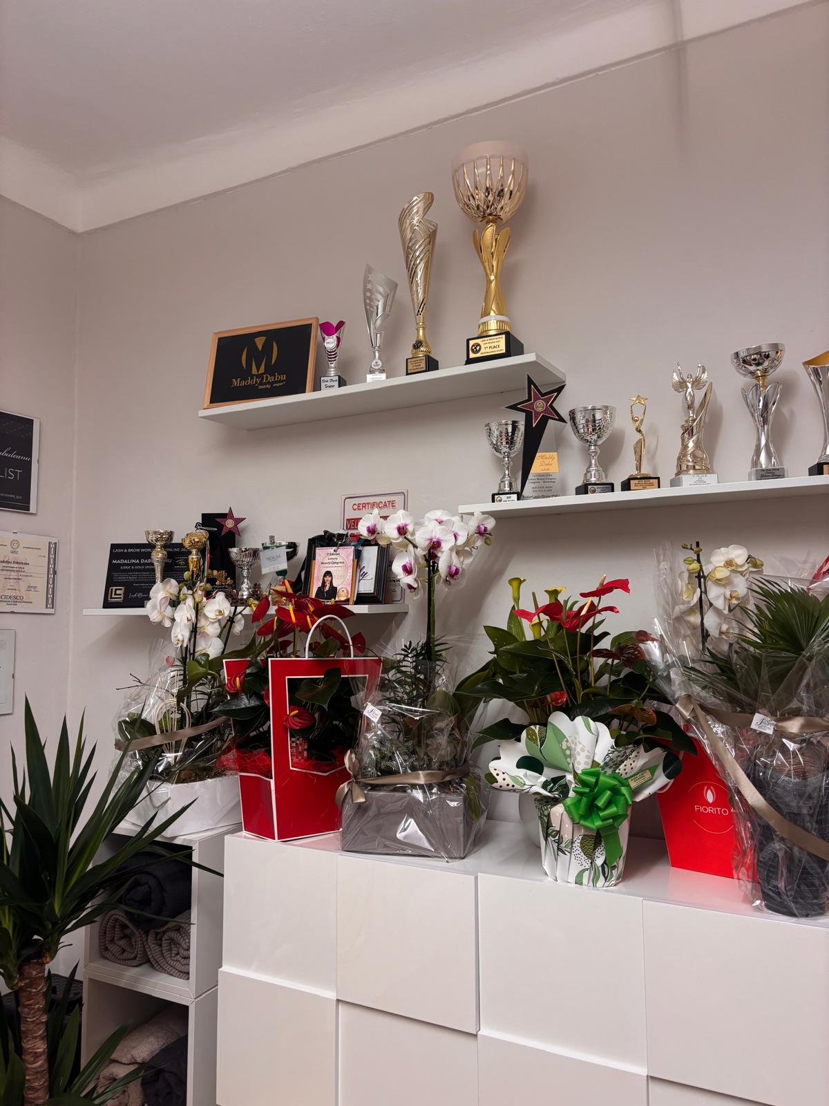 Fiori e insegna nello studio